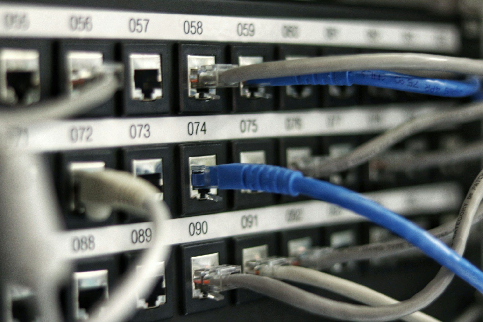 Patch panel with blue and grey network cables